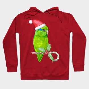 Green parrotlet christmas style Hoodie